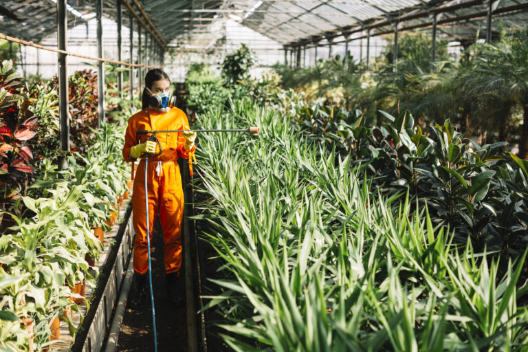 femme jardinier vetements travail pulverisation insecticide plantes serre